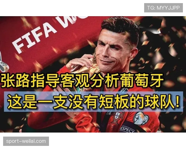 世界杯I组球队优势与短板分析